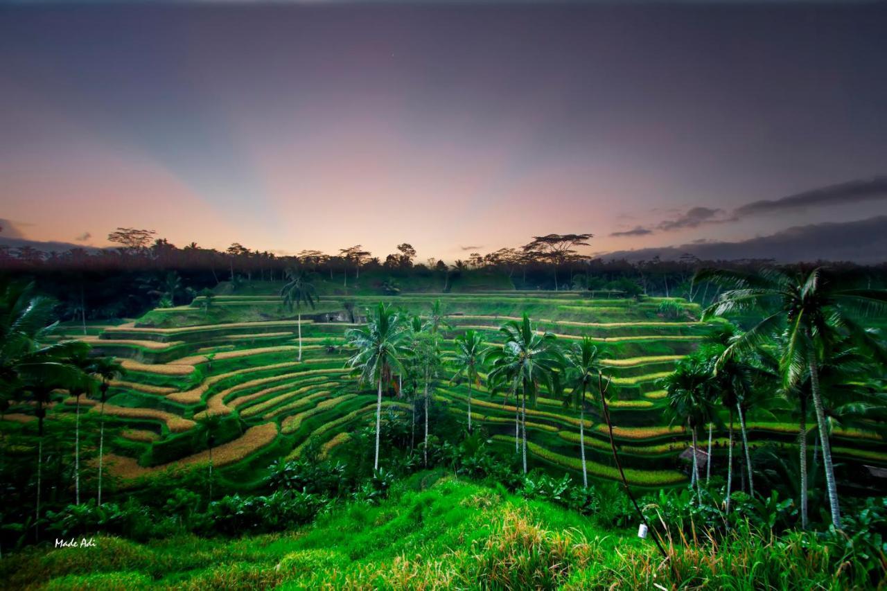 Hotel Puri Padma Ubud