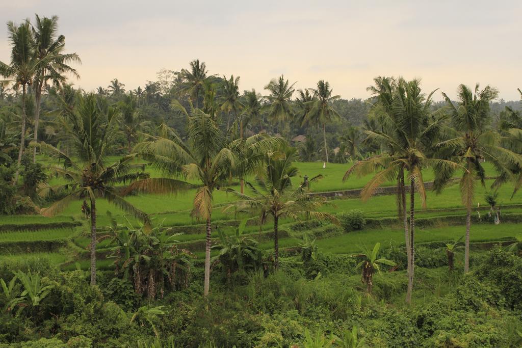 Puri Padma Hotel Ubud
